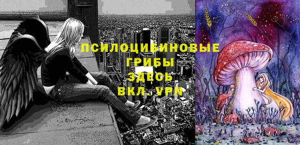 герыч Лагань