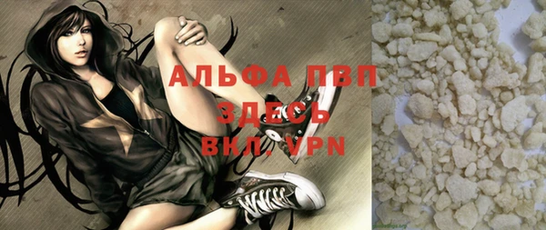 спиды Магас