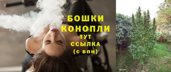 PSILOCYBIN Краснотурьинск