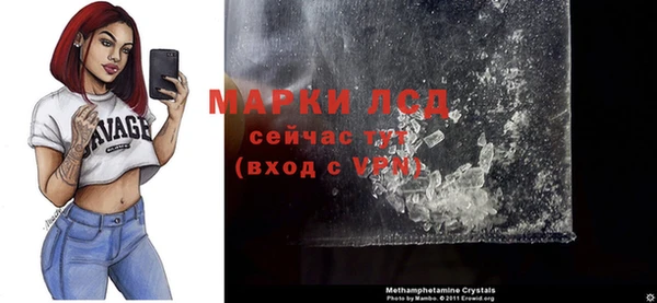спиды Магас